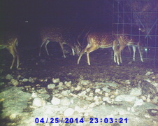 Enlarge photo 27