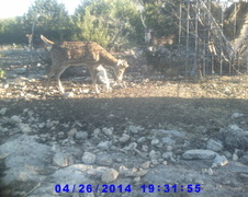 Enlarge photo 19