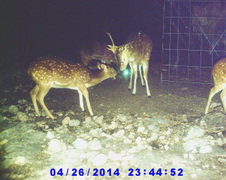 Enlarge photo 20