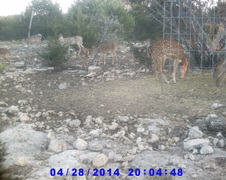 Enlarge photo 28