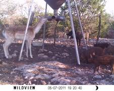 Enlarge photo 25