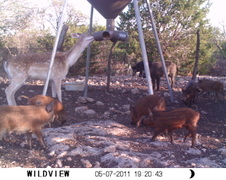 Enlarge photo 26