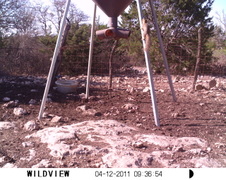 Enlarge photo 13