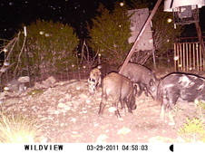 Enlarge photo 17