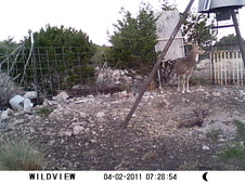 Enlarge photo 16
