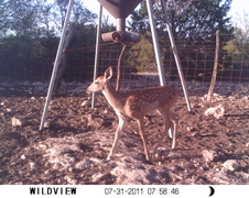Enlarge photo 18