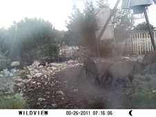 Enlarge photo 20