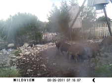 Enlarge photo 21