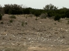 Turkey Season