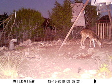Enlarge photo 20