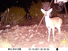 Enlarge photo 23