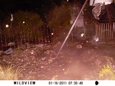 Enlarge photo 11