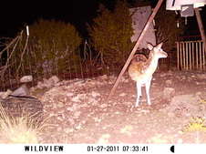 Enlarge photo 19