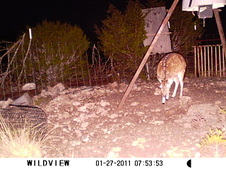 Enlarge photo 21