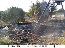Enlarge photo 25