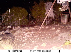 Enlarge photo 14