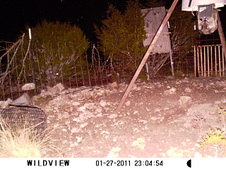 Enlarge photo 15