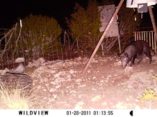 Enlarge photo 16
