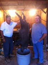 2012 Deer Pics