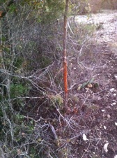 Enlarge photo 15