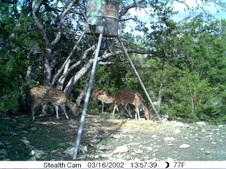 August 2012