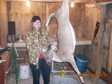 Enlarge photo 26