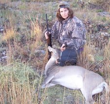 All deer pics