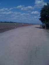 Enlarge photo 24