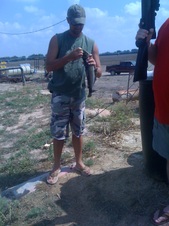 Enlarge photo 10
