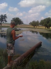 Enlarge photo 13