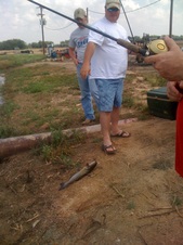 Enlarge photo 15