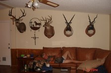 Enlarge photo 27