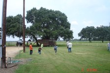 Enlarge photo 34