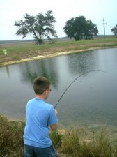 Enlarge photo 23