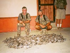 All Dove Hunts