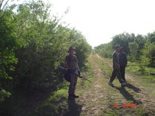 Enlarge photo 8