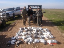 All Duck Goose & Sand Hill Crane Hunting