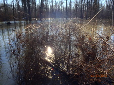 Enlarge photo 40