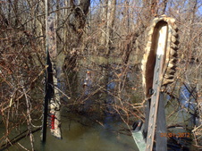 Enlarge photo 41