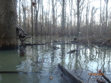 Enlarge photo 11
