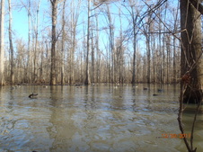 Enlarge photo 21