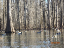 Enlarge photo 23
