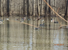 Enlarge photo 24
