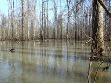 Enlarge photo 25