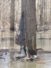 Enlarge photo 27