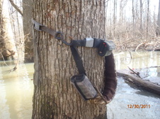 Enlarge photo 28
