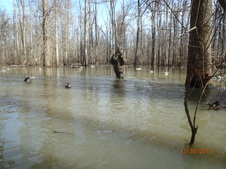 Enlarge photo 26