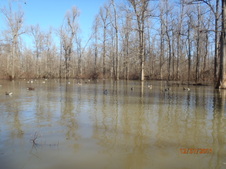 Enlarge photo 42