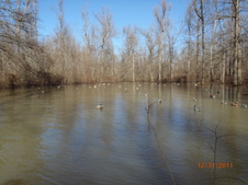 Enlarge photo 43