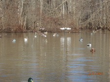 Enlarge photo 44